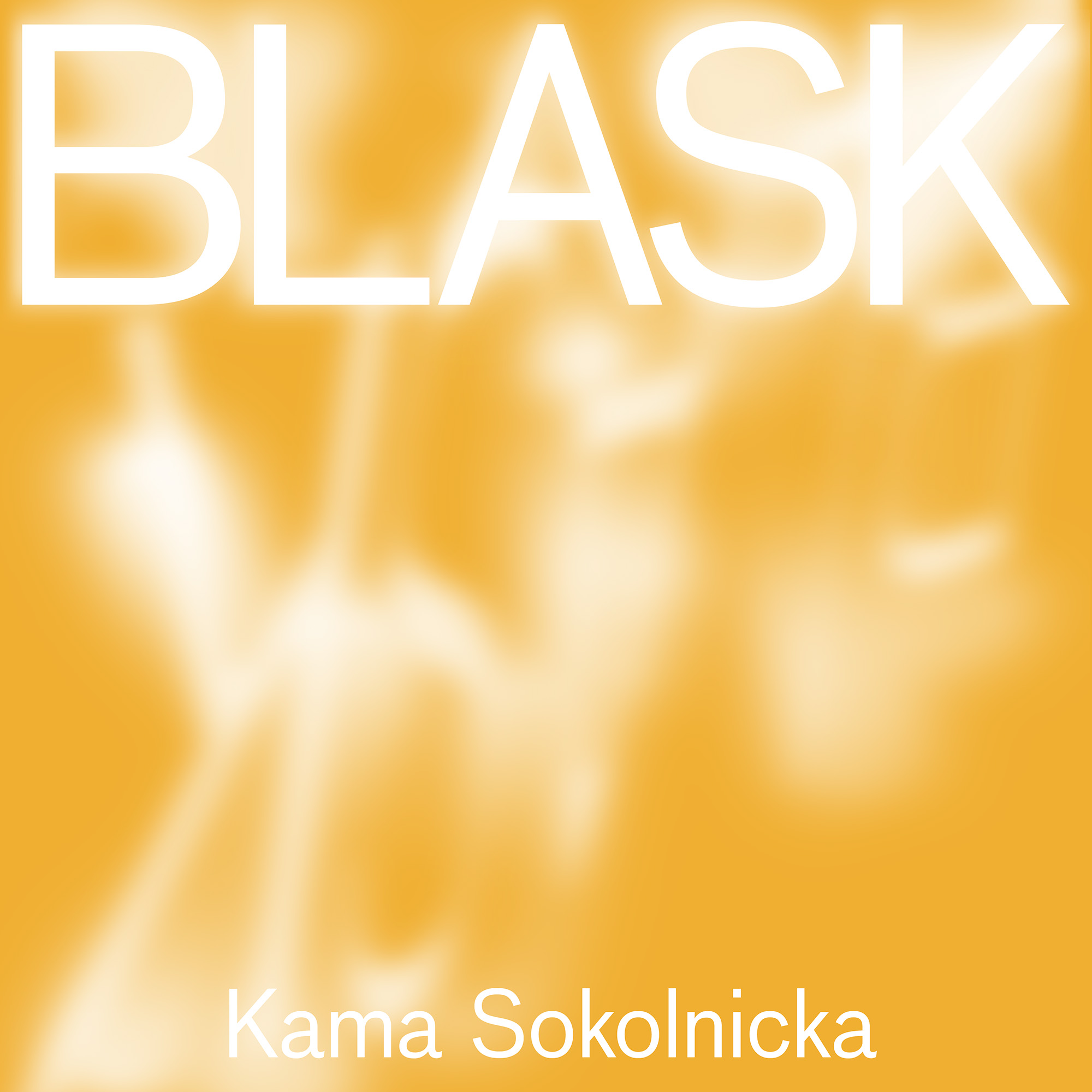 Kama Sokolnicka. Blask