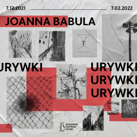 Joanna Babula. Urywki