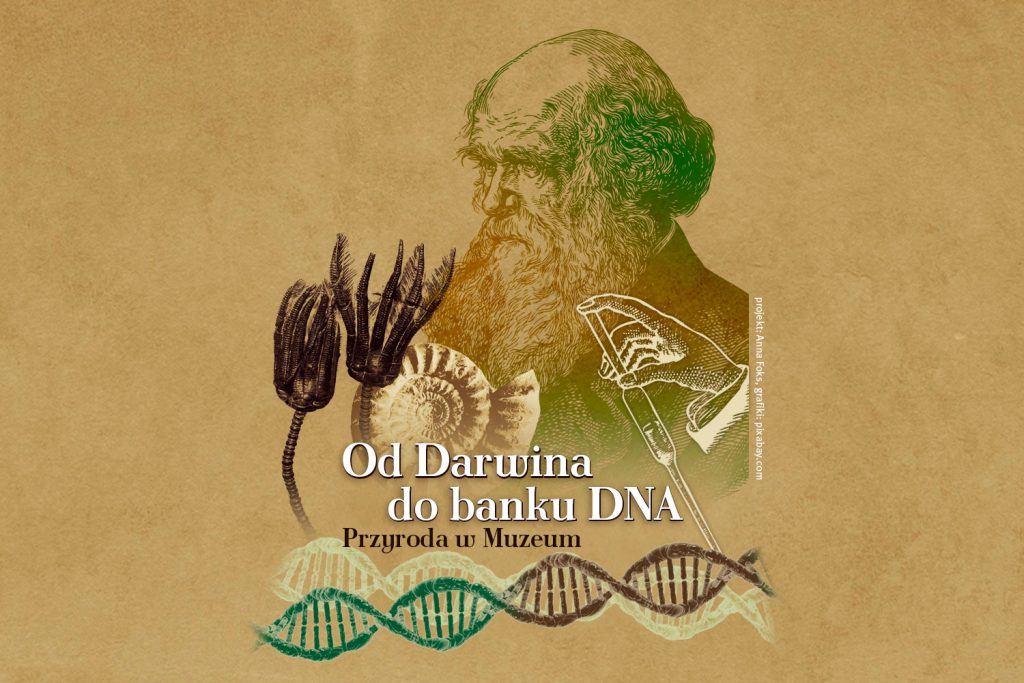 Od Darwina do banku DNA. Przyroda w Muzeum