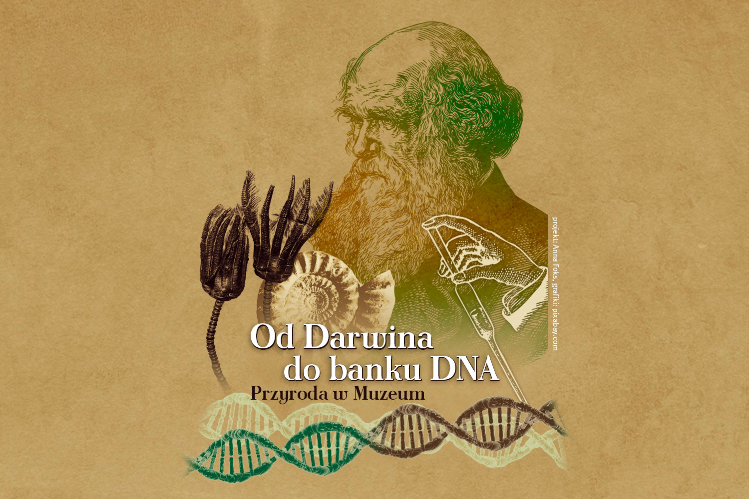 Od Darwina do banku DNA. Przyroda w Muzeum
