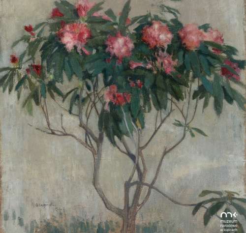Flora Polonica, malarstwo, niezła sztuka