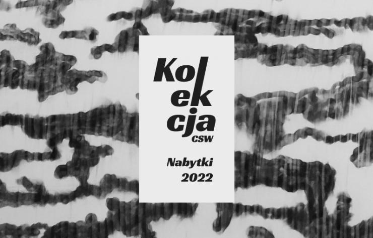 Kolekcja CSW. Nabytki 2022, wystawa, niezła sztuka