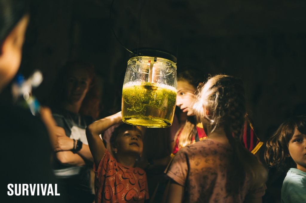 Przegląd Sztuki SURVIVAL, festiwal, sztuka, muzyka, fotografia, grafika, performance, niezła sztuka