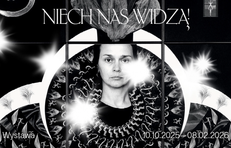 Niech nas widzą! Wizerunek, strój, ciało, wystawa, strój, kreacje, sztuka współczesna, sztuka dawna, ubiór, niezła sztuka