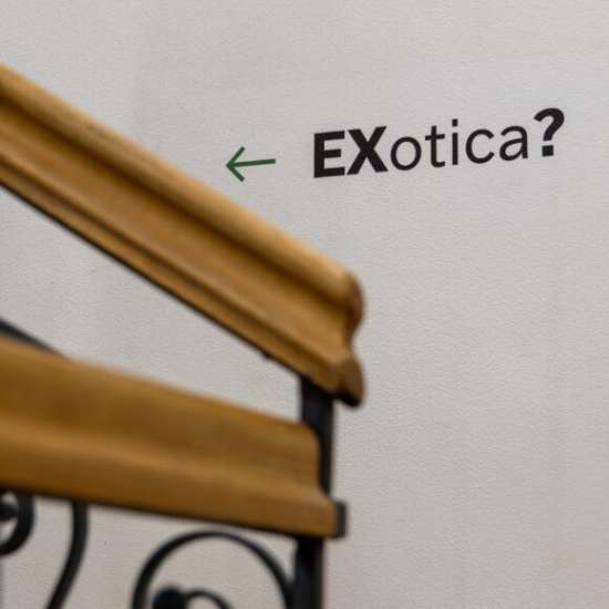 Ekspozycja EXotica? w Muzeum Kultur Świata, etnografia, antropologia, sztuka użytkowa, wystawa, strój, materiał, niezła stzuka