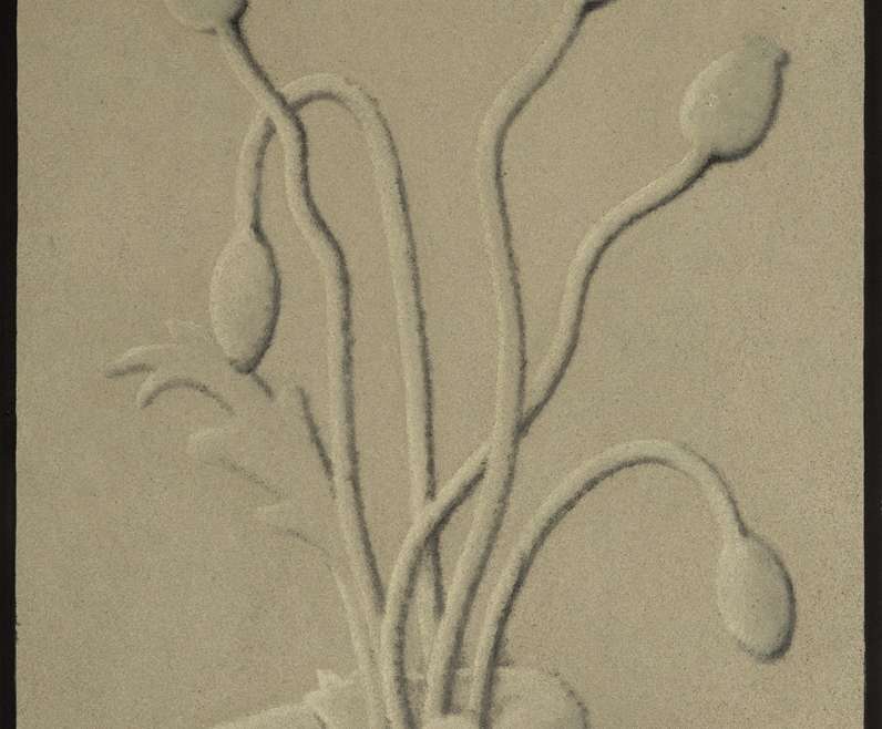 Bartłomiej Flis, Maki, malarstwo, sztuka polska, sztuka współczesna, sztuka rodzajowa, niezła sztuka