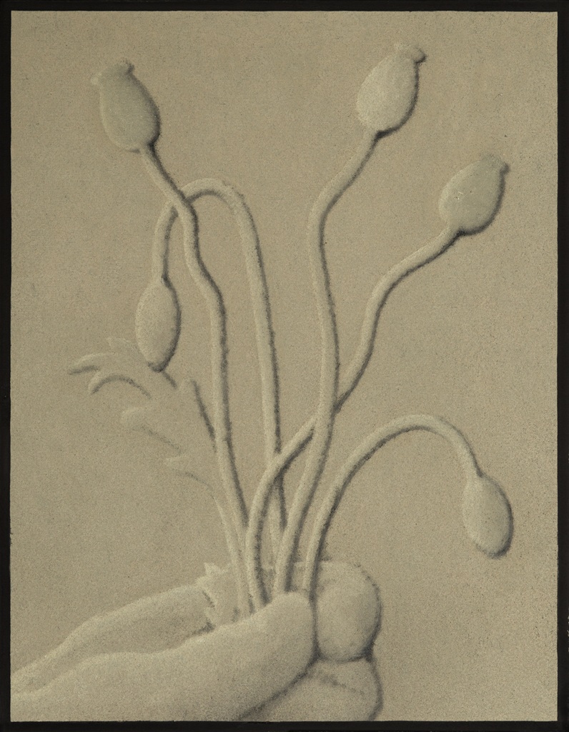 Bartłomiej Flis, Maki, malarstwo, sztuka polska, sztuka współczesna, sztuka rodzajowa, niezła sztuka