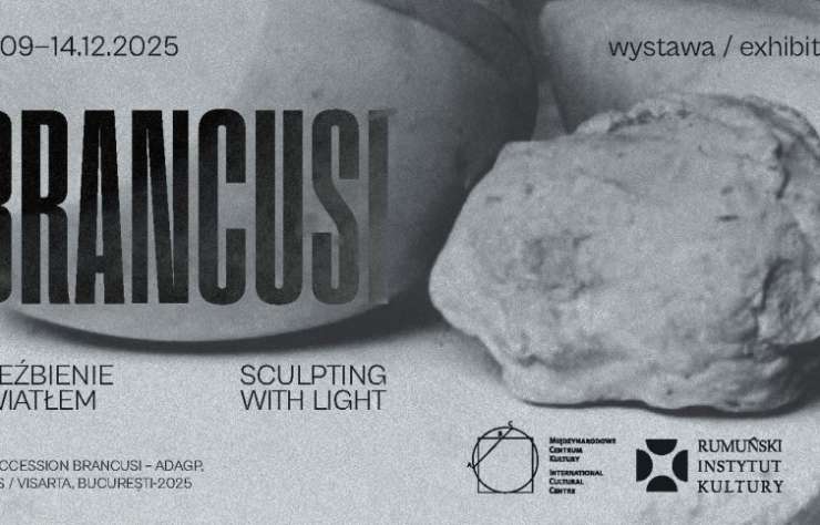 Brâncuși. Rzeźbienie światłem, wystawa, światło, fotografia, sztuka rumuńska, sztuka XX w., niezła sztuka
