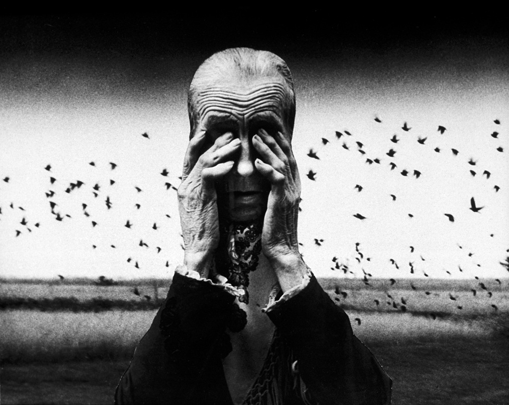 Zofia Rydet, Świat uczuć i wyobraźni, fotografia, kolaż, sztuka polska, sztuka XX w., niezła sztuka