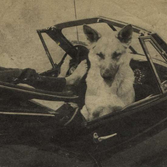 Andrij Bojarov, bez tytułu, fotografia, fotomontaż, kolaż, niezła sztuka