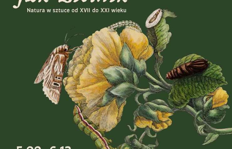 Świat jak zielnik. Natura w sztuce od XVII do XXI wieku, natura, wystawa, niezła sztuka