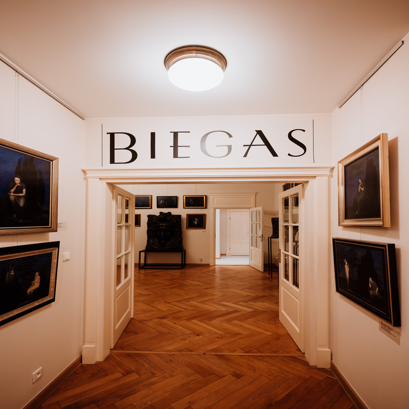 Muzeum im. Bolesława Biegasa